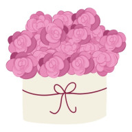 Carnations