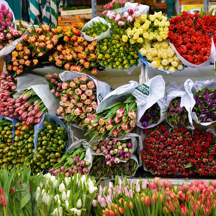 The Largest Flower Market