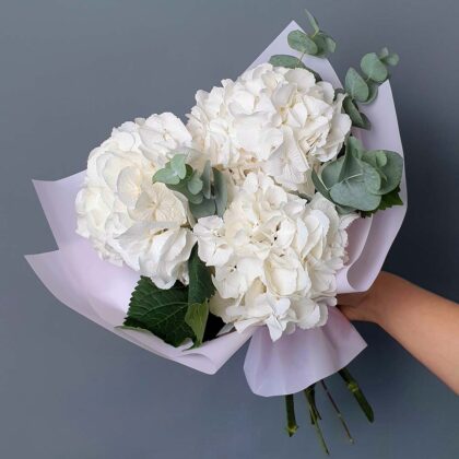 Buy Bouquet Of White Hydrangeas online